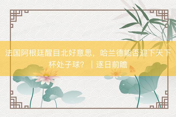 法国阿根廷醒目北好意思，哈兰德能否迎下天下杯处子球？｜逐日前瞻