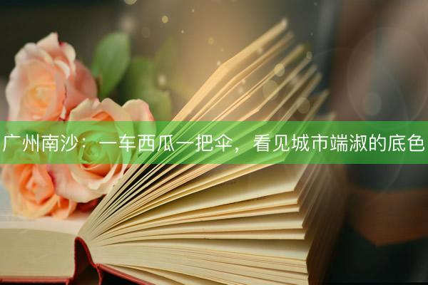 广州南沙:一车西瓜一把伞,看见城市端淑的底色