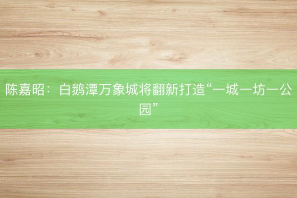 陈嘉昭：白鹅潭万象城将翻新打造“一城一坊一公园”