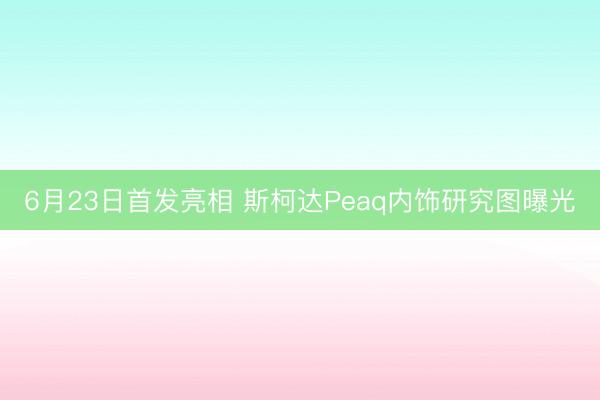 6月23日首发亮相 斯柯达Peaq内饰研究图曝光